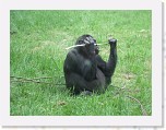 Dierentuin Burgers  Zoo 106 * 3648 x 2736 * (6.57MB)